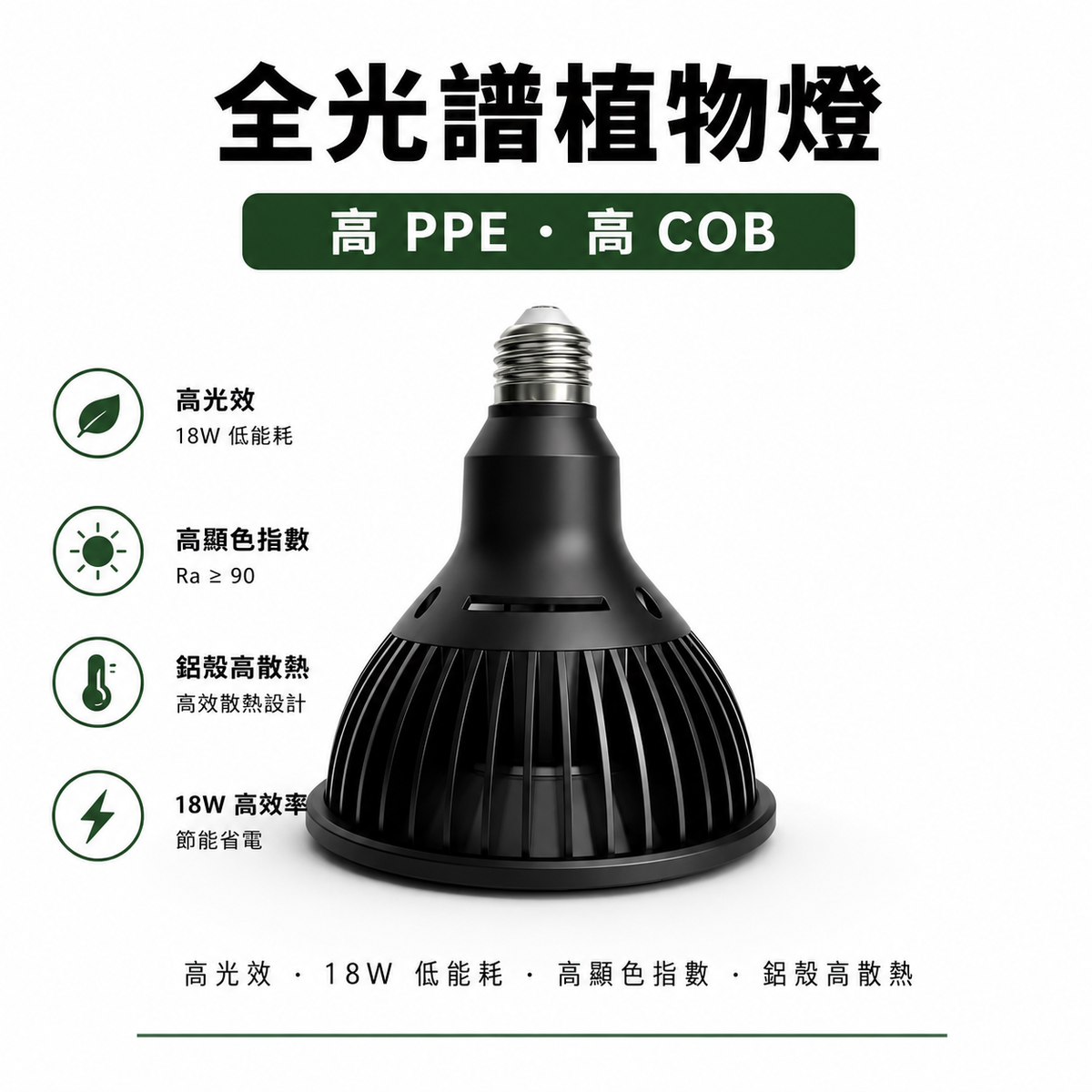 鹿角蕨專用植物燈