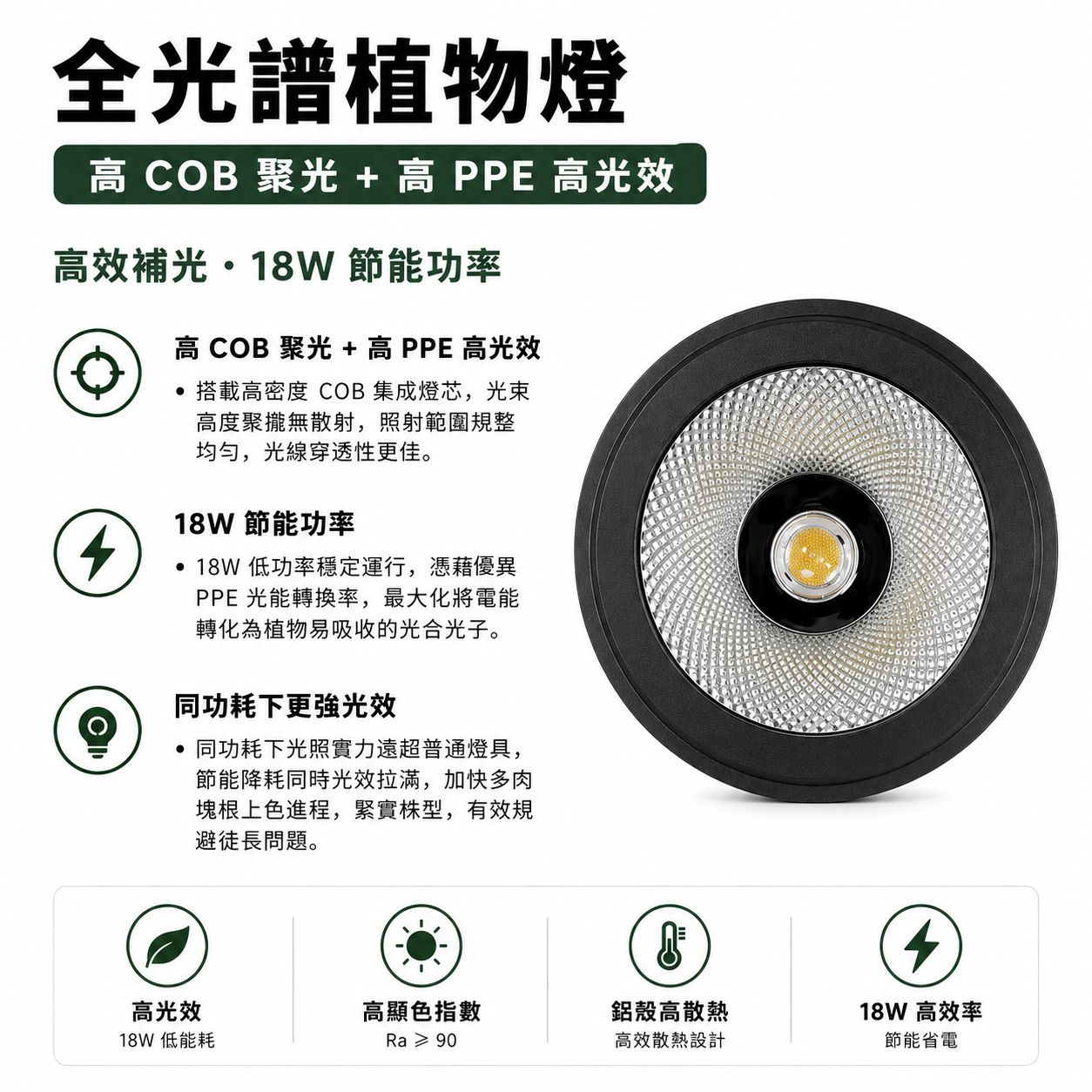 全光譜 COB 植物燈｜鹿角蕨專用