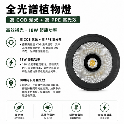 全光譜 COB 植物燈｜鹿角蕨專用