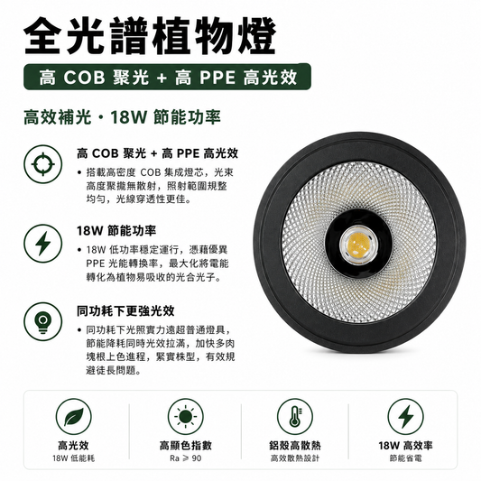 全光譜 COB 植物燈｜鹿角蕨專用