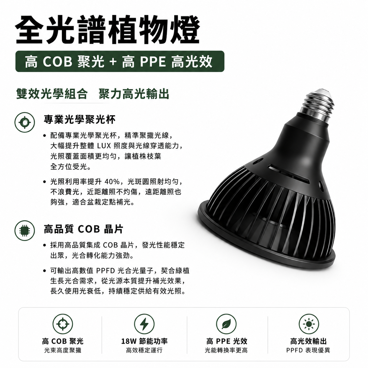 全光譜 COB 植物燈｜鹿角蕨專用