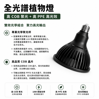 全光譜 COB 植物燈｜鹿角蕨專用