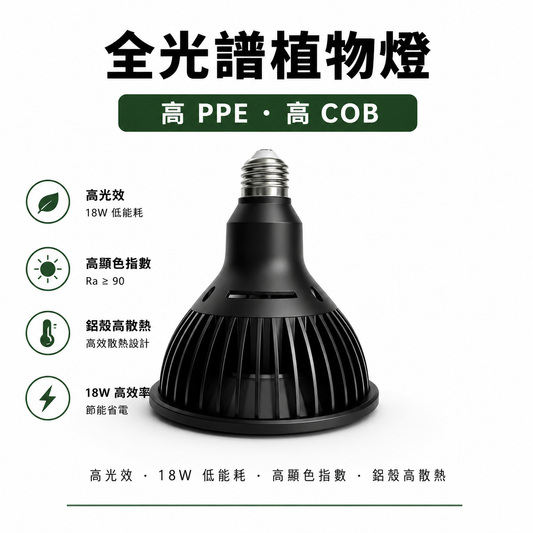 全光譜 COB 植物燈｜鹿角蕨專用