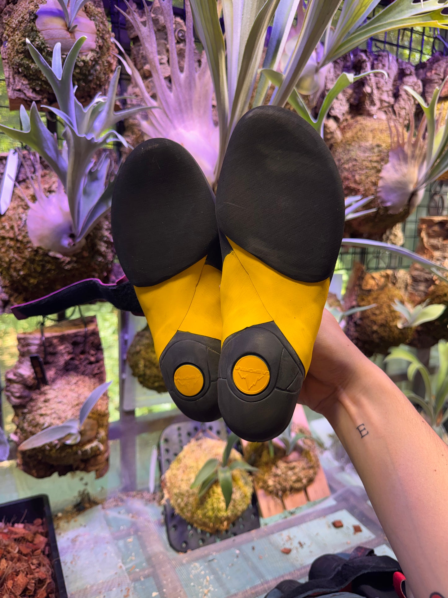 International Climbing Shoe Resole & Repair Service