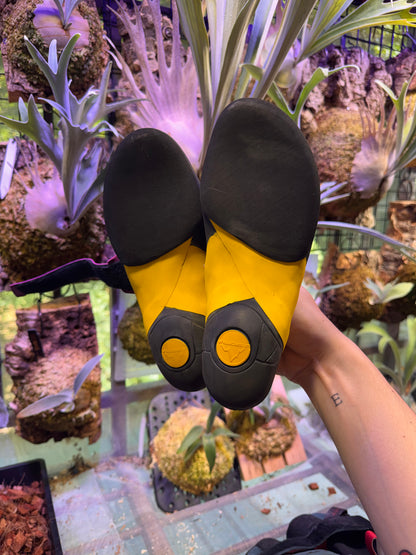 International Climbing Shoe Resole & Repair Service