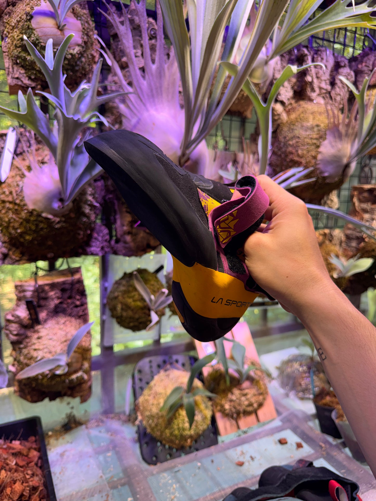 International Climbing Shoe Resole & Repair Service