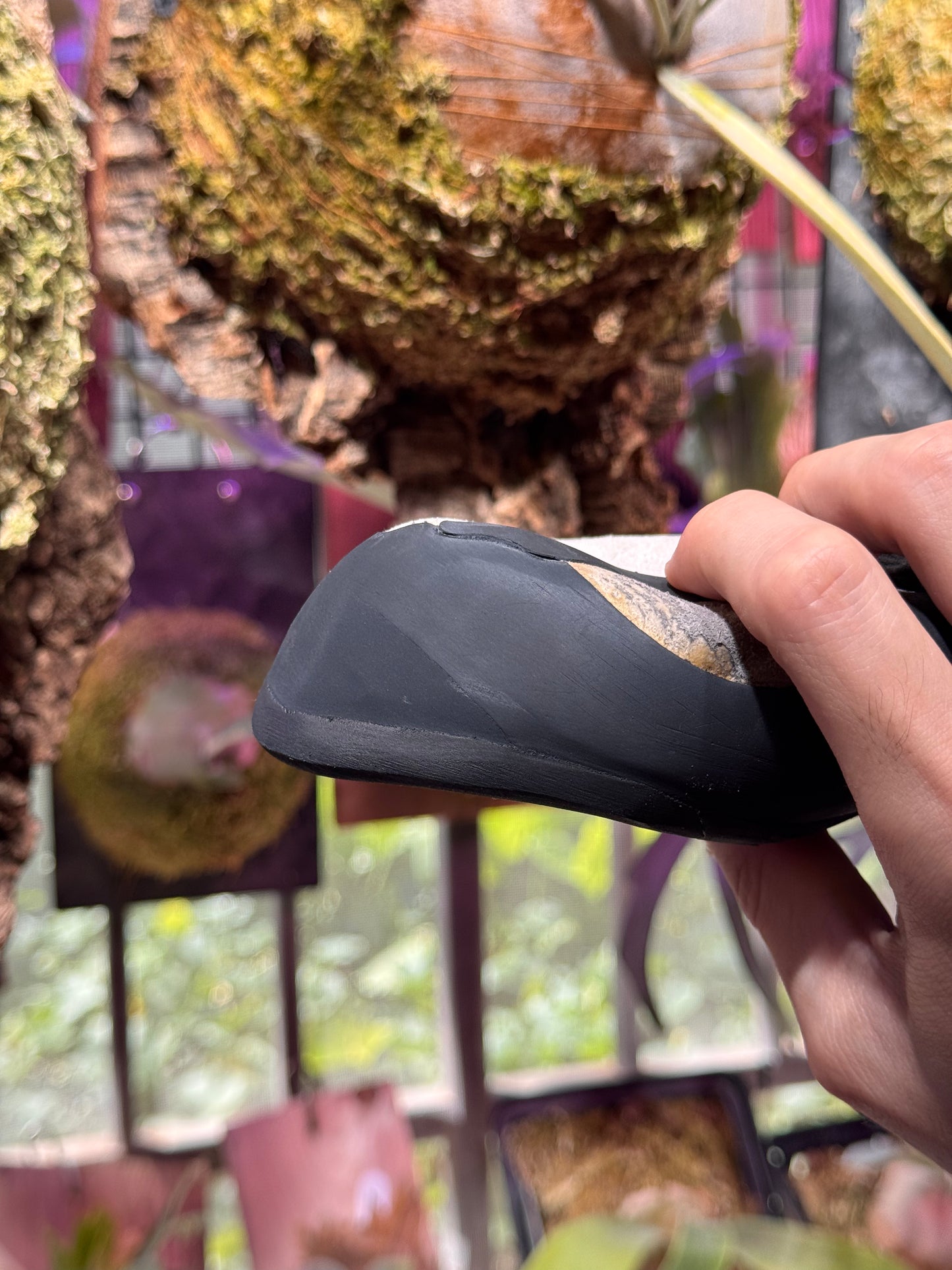 International Climbing Shoe Resole & Repair Service