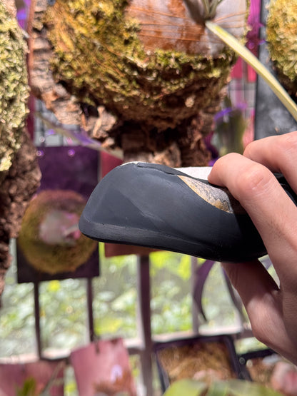 International Climbing Shoe Resole & Repair Service
